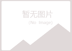 平塘县问雁咨询有限公司